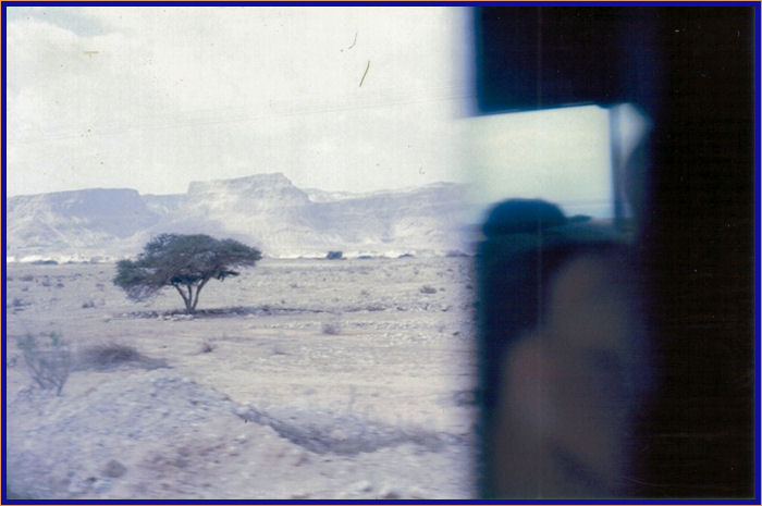 We headed south from Qumran and went to Masada which is the flat-topped mountain on the right